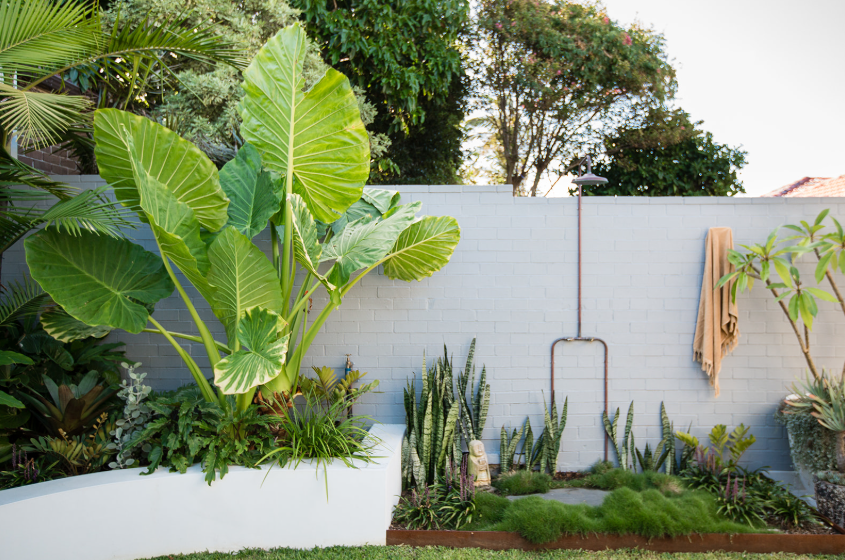 Organic Farming Gallery 2